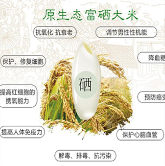 品牌招商(图4)